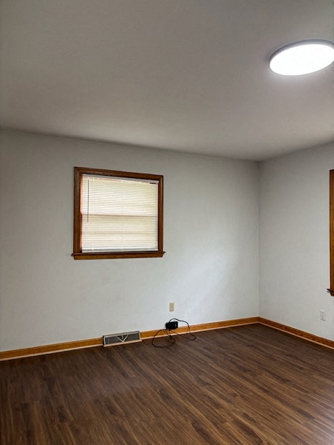 Gallery Photo 17